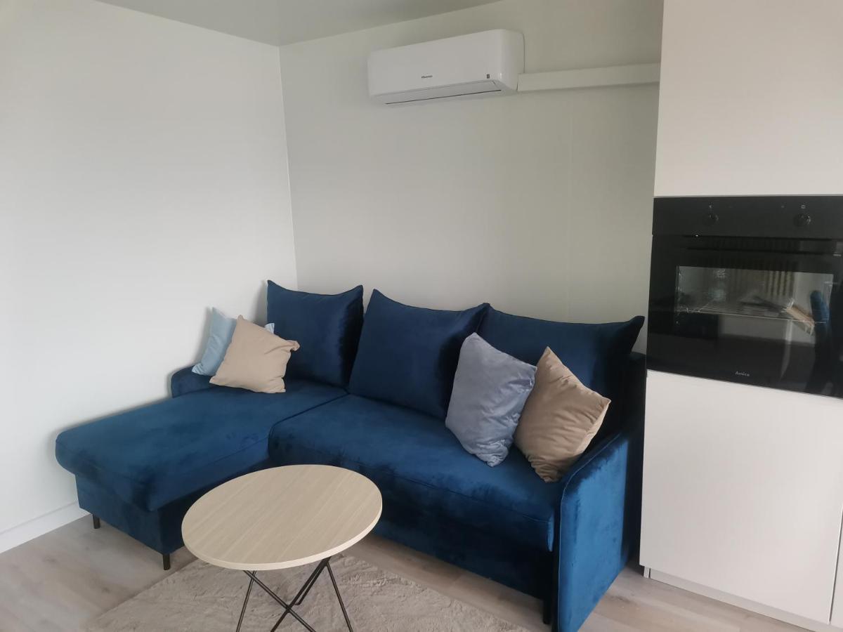Wilcza Przystan Apartment Borzygniew Luaran gambar